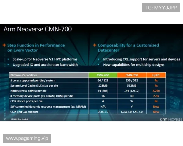 百家乐连庄赛前解析：前瞻走势如何左右最终胜负结果关键因素深度剖析