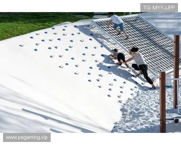 3386体育：打造全新体育生态，赋能用户多元化运动体验