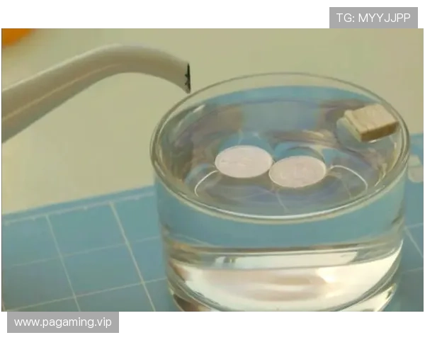 PA真人带你揭秘生活中的隐藏真相与趣味科学探索