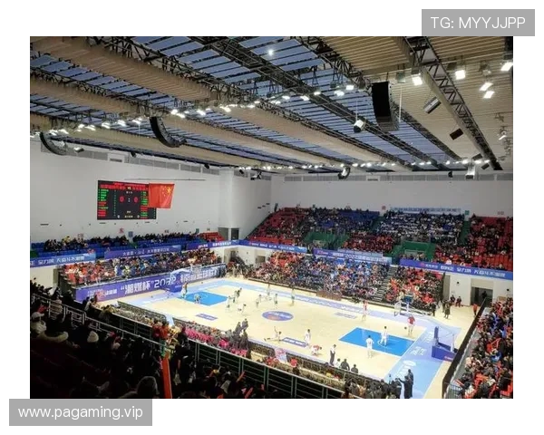 TOP1体育引领行业潮流打造全新体育生态体系助力运动爱好者全面升级体验